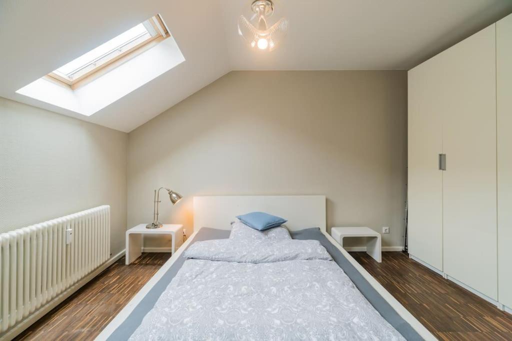 Apartment Ruhige Dachwohnung Mit Terrasse Mitte - Spacious Modern Rooftop Loft In Mitte
